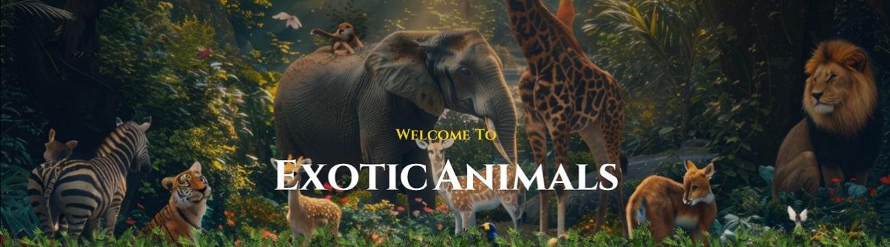 exoticanimalsmiami