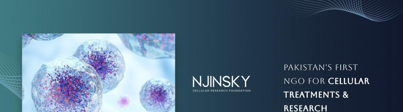 njinskyfoundationpk