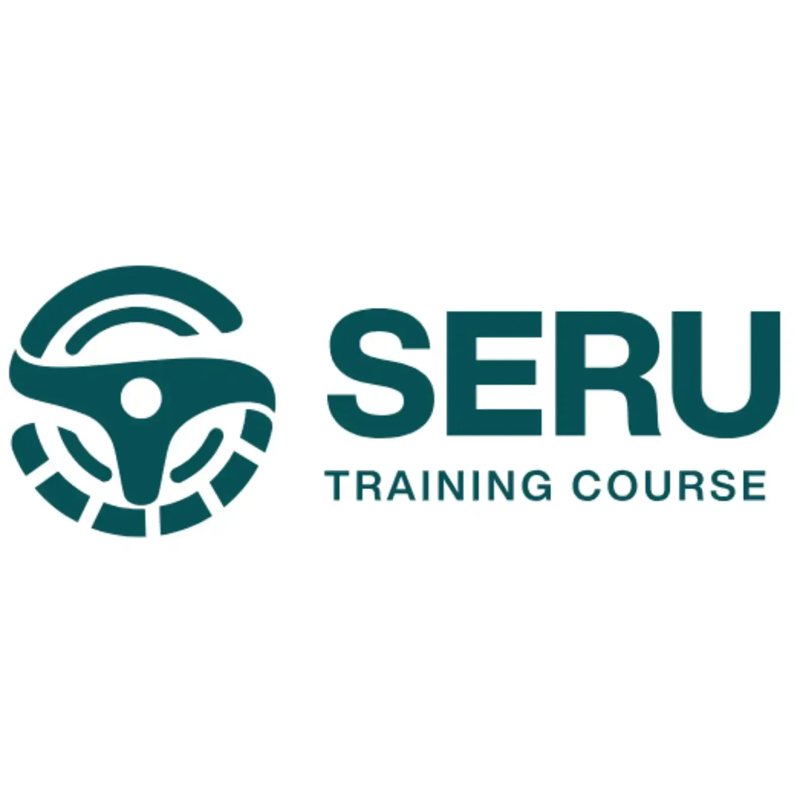 serutrainingcourse