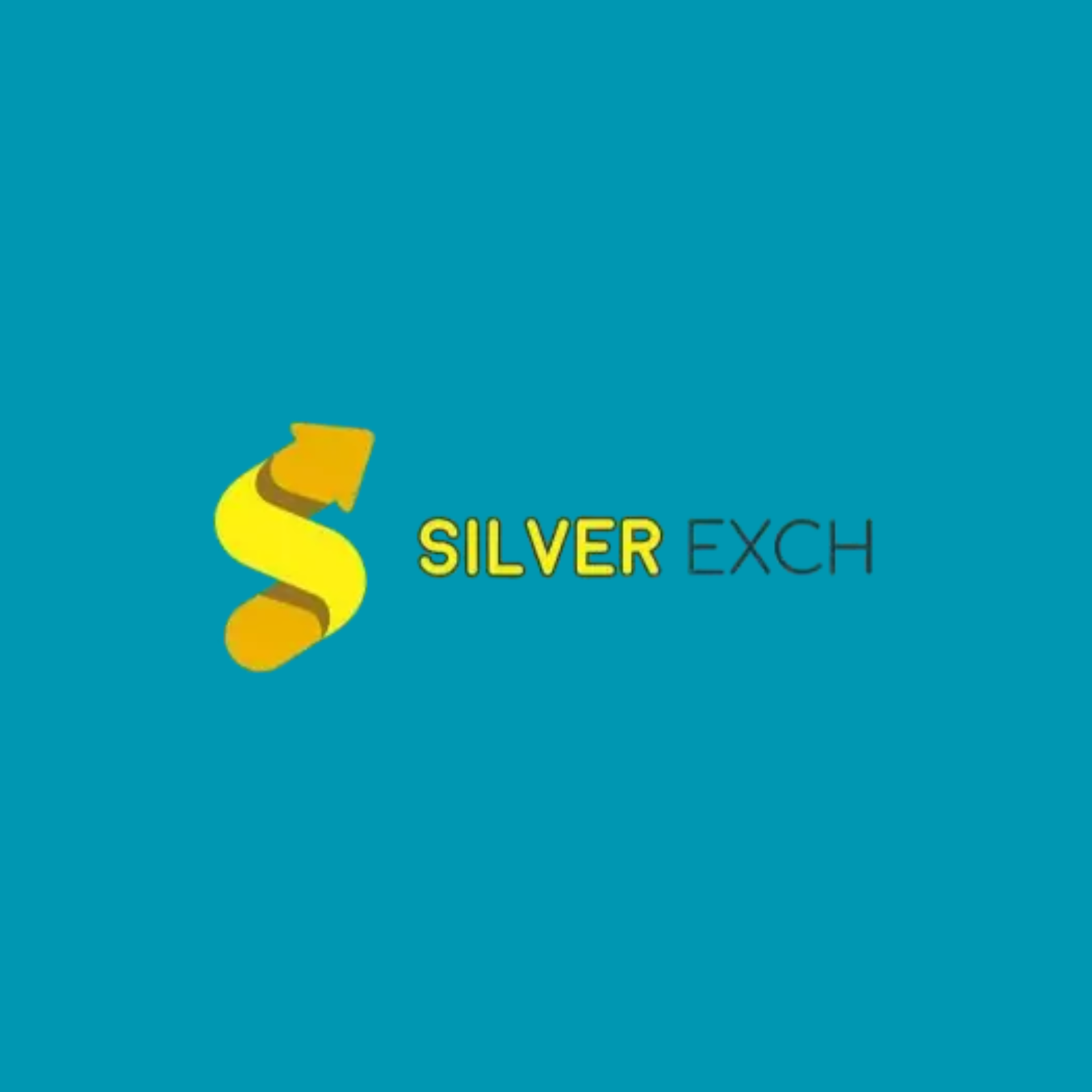 silverbhaiexchg
